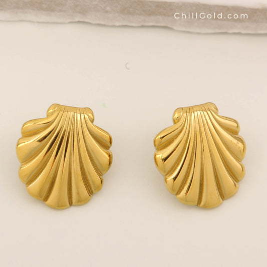 Gold Plated Polished Seashell Stud Earrings
